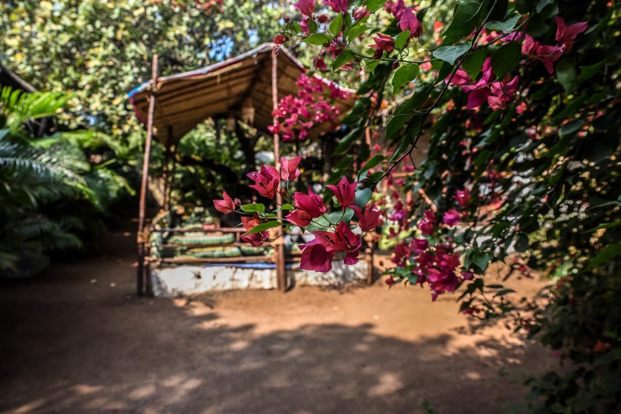 Rudra Holidays Guest House Arambol Εξωτερικό φωτογραφία